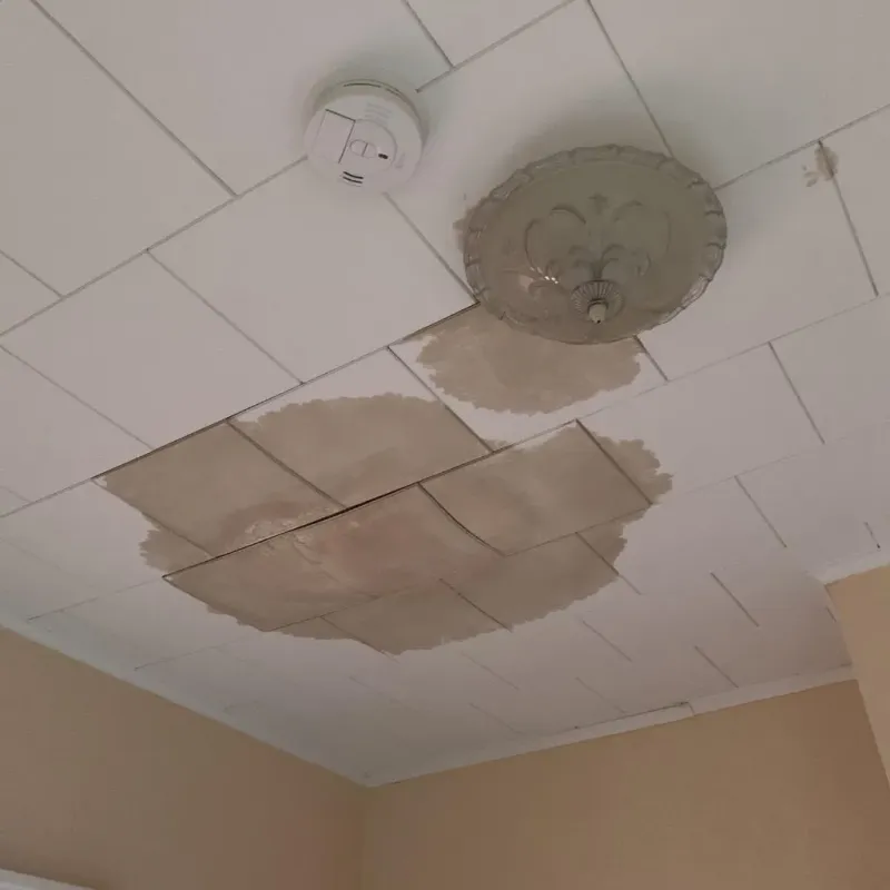 Ceiling Water Damage Repair in Nokesville, VA