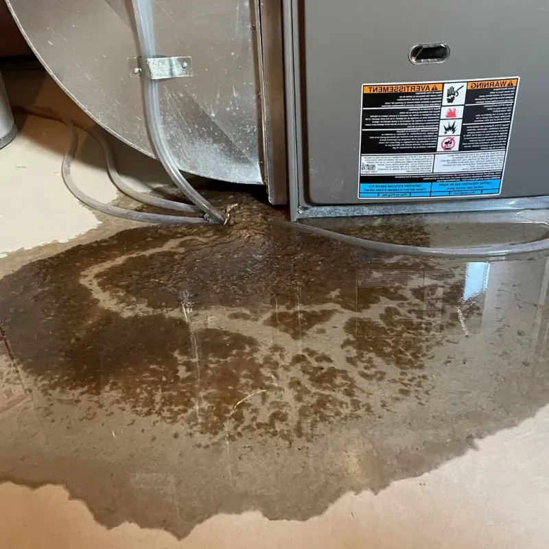 Pipe Burst and Leak Restoration in Nokesville, VA
